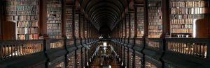 The Library
