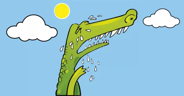 Krokodil Kroko Koko